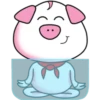 PiG 21