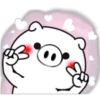 ● WhItE  PiG ● 19