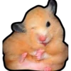 Hamsters Memes 15