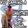 Frases Doña Bárbara 18
