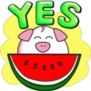PiG 22