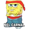 Bob Cholo, Piolin, Simpsons 21
