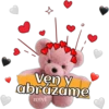 osito de peluche 13