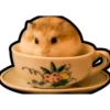 Hamsters Memes 17