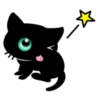 ☆C☆  1 BLACK Kitty 13