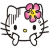 Hello kitty 15