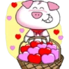 2   PiG 26
