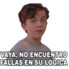 VAYA, NO ENCUENTRO
FALLAS EN SU LÓGICA