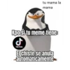 tu mama la
mama
Kpo si tu meme tiene:
TikTok
El chiste se anula
automaticamente