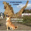 Variados 24