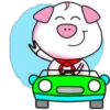 PiG 26