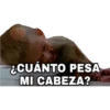 ¿CUÁNTO PESA
MI CABEZA?