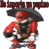 The power rangers 18