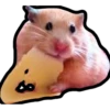Hamsters Memes 20