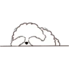 MIKO THE FLUFFY WHITE DOG 17