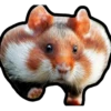 Hamsters Memes 21
