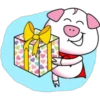 PiG 28