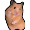 Hamsters Memes 22