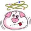 2   PiG 28