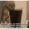 Variados 28