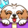 M
小