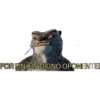 POR FIN, UN DIGNO OPONENTE!
