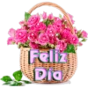 Buenos dias by mdd 14