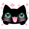 ☆C☆  1 BLACK Kitty 20