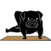 Yoga Pug 5