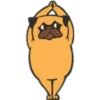 Yoga Pug 7
