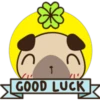 C
GOOD LUCK
