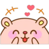 Girl's Hamster 9