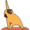 Yoga Pug 10