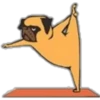 Yoga Pug 12