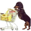 GUAU GUAU 6