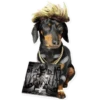 GUAU GUAU 7