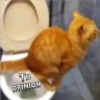 Tu
OPINION