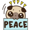 HOUDE
PEACE