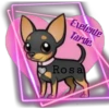 Exelente
Tarde
Rosa
