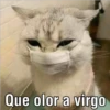 Que olor a virgo