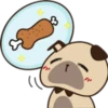 Cute pug 11