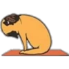 Yoga Pug 15