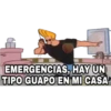 EMERGENCIAS, HAY UN
TIPO GUAPO EN MI CASA