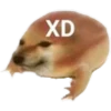 Shitpost (4) 10