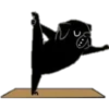 Yoga Pug 16