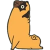 Yoga Pug 17