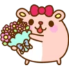 Girl's Hamster 20