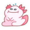 SC