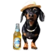 GUAU GUAU 16