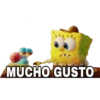 MUCHO GUSTO